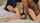 interracial cuckold wife
