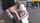 big ass teen blonde big tits