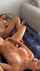 masturbation lesbian fake tits