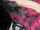 brunette blowjob latina