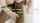 toering bbc interracial