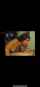 amateur latina white