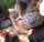 brunette gangbang outdoor