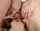 anal sex hardcore anal creampie