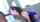 bobbi starr interracial deepthroat