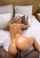 blackguy blonde girl big ass