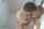 jav japanese uncensored