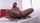 hot lesbian sex