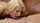 adult time blonde milf