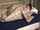 teen taboo stepdad
