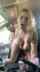 blond big tits pierced tits