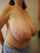 big tits big boobs no face