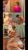 jav milf stepmom