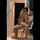 camgirl amateur brunette