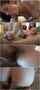 hairy pussy cute brunette boy girl sex