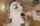 blonde facial blowjob