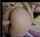 mofos porn ad anal