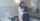 petite brunette blowjob