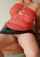 cougar gilf milf