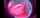 belle delphine dildo fishnets