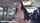 bangbros bangbus teen