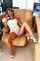 mature retro milf