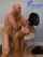 backshots doggy doggy style