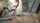lesibian girlsgonewild doggy