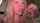 camgirl droll bdsm
