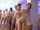 gangbang anal brunette