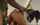 interracial bbc blowjob
