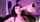 camgirl dildo gag