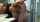 bathroom hardsex muscled