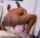 camgirl amateur ebony