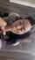 asian cocksucking blowjob