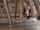 tiptoe from behind on the table