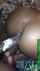 anal black bbc