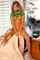 playboy playboy plus pornpics