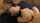 japanese maid jav