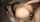 japan jav doggy