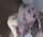 blonde filth slut