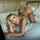 pornstar model adult