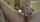 amateu solo webcam