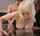 jav short hair japanese
