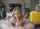 blonde pov blowjob