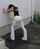 pee white pants panties