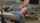 slut anal hardcore