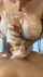 teen amateur handjob