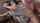 asian japanese jav