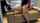 prone bone dark hair blowjob